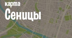 Сеница