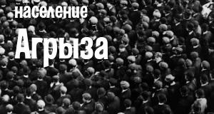 Население Агрыза