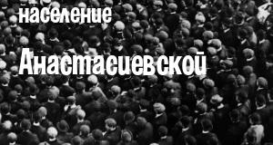 Население Анастасиевской