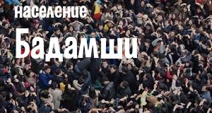 Население Бадамши