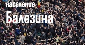 Население Балезина