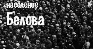 Население Белова