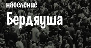 Население Бердяуша