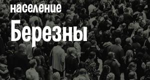 Население Березны