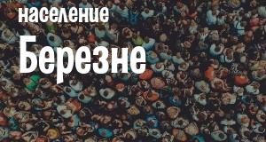 Население Березне
