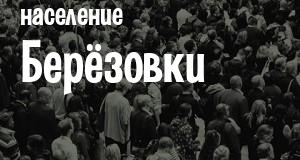 Население Берёзовки