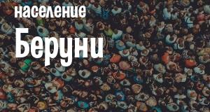 Население Беруни