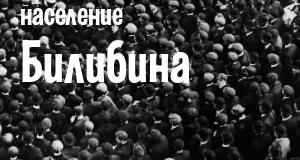Население Билибина
