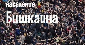 Население Бишкаина