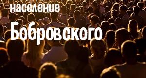 Население Бобровского