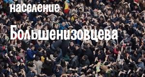 Население Большенизовцева
