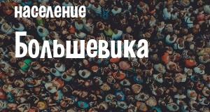 Население Большевика