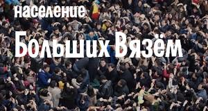 Население Больших Вязём