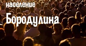 Население Бородулина