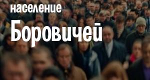 Население Боровичей