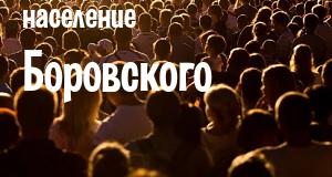 Население Боровского