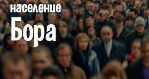 Население Бора