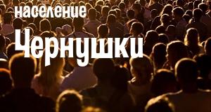Население Чернушки