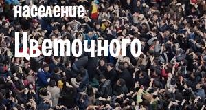 Население Цветочного