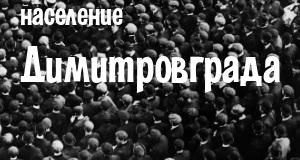 Население Димитровграда