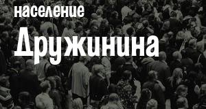 Население Дружинина