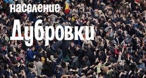 Население Дубровки