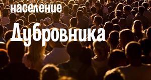 Население Дубровника