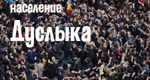 Население Дуслыка
