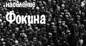 Население Фокина