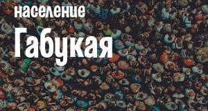 Население Габукая