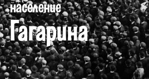 Население Гагарина