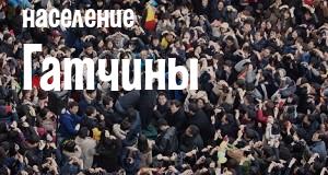 Население Гатчины
