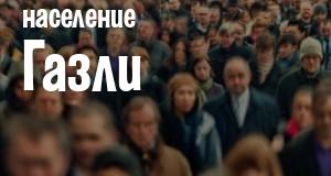 Население Газли