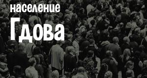 Население Гдова