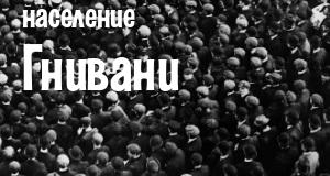 Население Гнивани