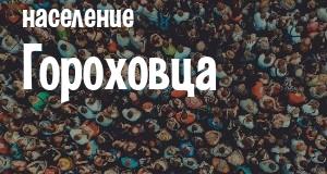 Население Гороховца