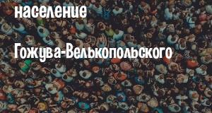 Население Гожува-Велькопольского