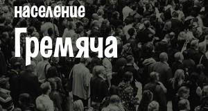 Население Гремяча