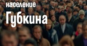 Население Губкина