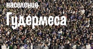 Население Гудермеса