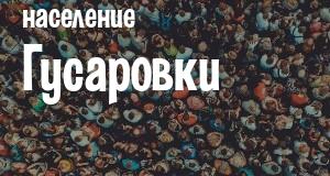 Население Гусаровки