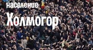 Население Холмогор