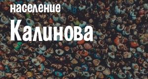 Население Калинова