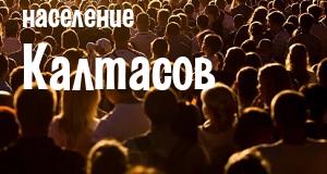 Население Калтасов
