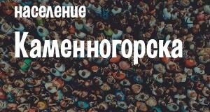 Население Каменногорска