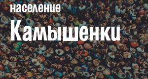 Население Камышенки