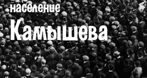 Население Камышева
