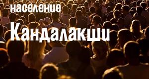 Население Кандалакши