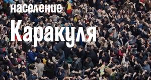 Население Каракуля