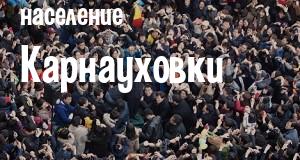 Население Карнауховки